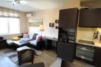 Обзаведен, отличен Двустаен апартамент, Левски