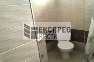 Furnished House, Pchelina