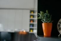 Furnished 2 Schlafzimmer Wohnung, Chayka